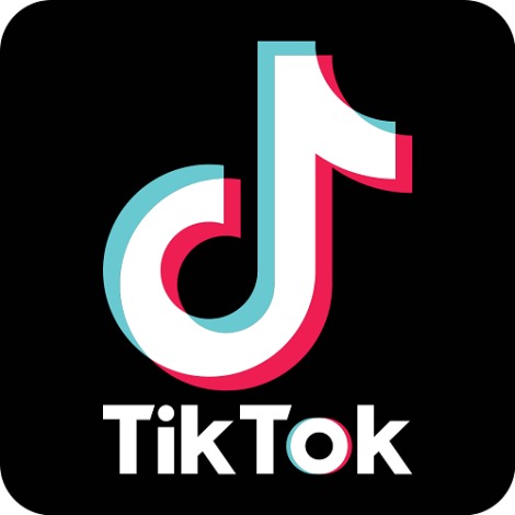 美国政府对 TikTok 的临时保护提出异议
